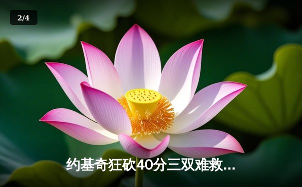 约基奇狂砍40分三双难救主，森林狼抢七大战20分逆转掘金晋级西决 - 2